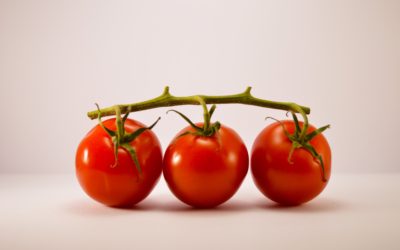 Tomato Time – The Nutrition Professor Cooks on California Bountiful TV!