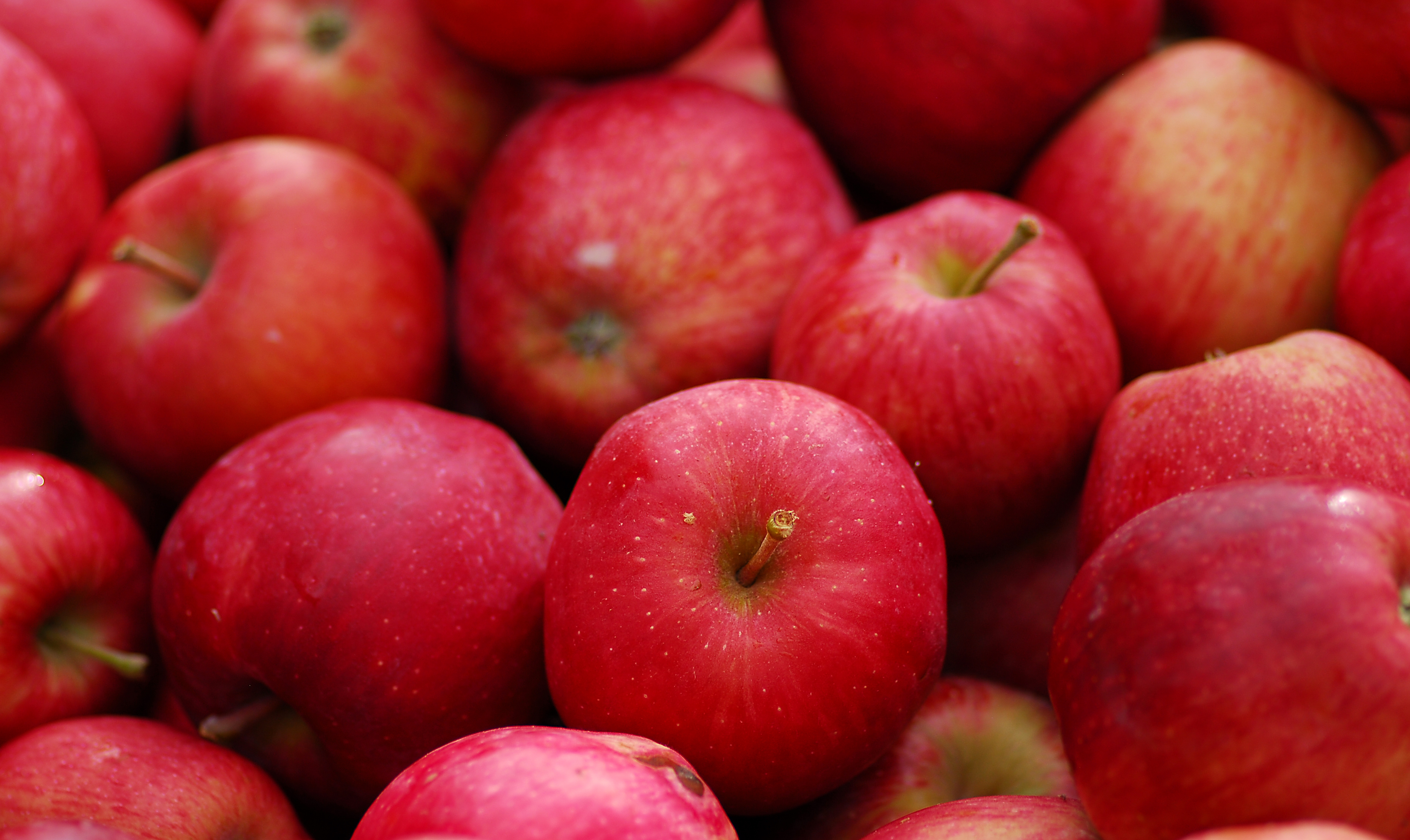 The Nutrition Professor Cooks on California Bountiful: Amazing Apples – and a delicious TREAT!