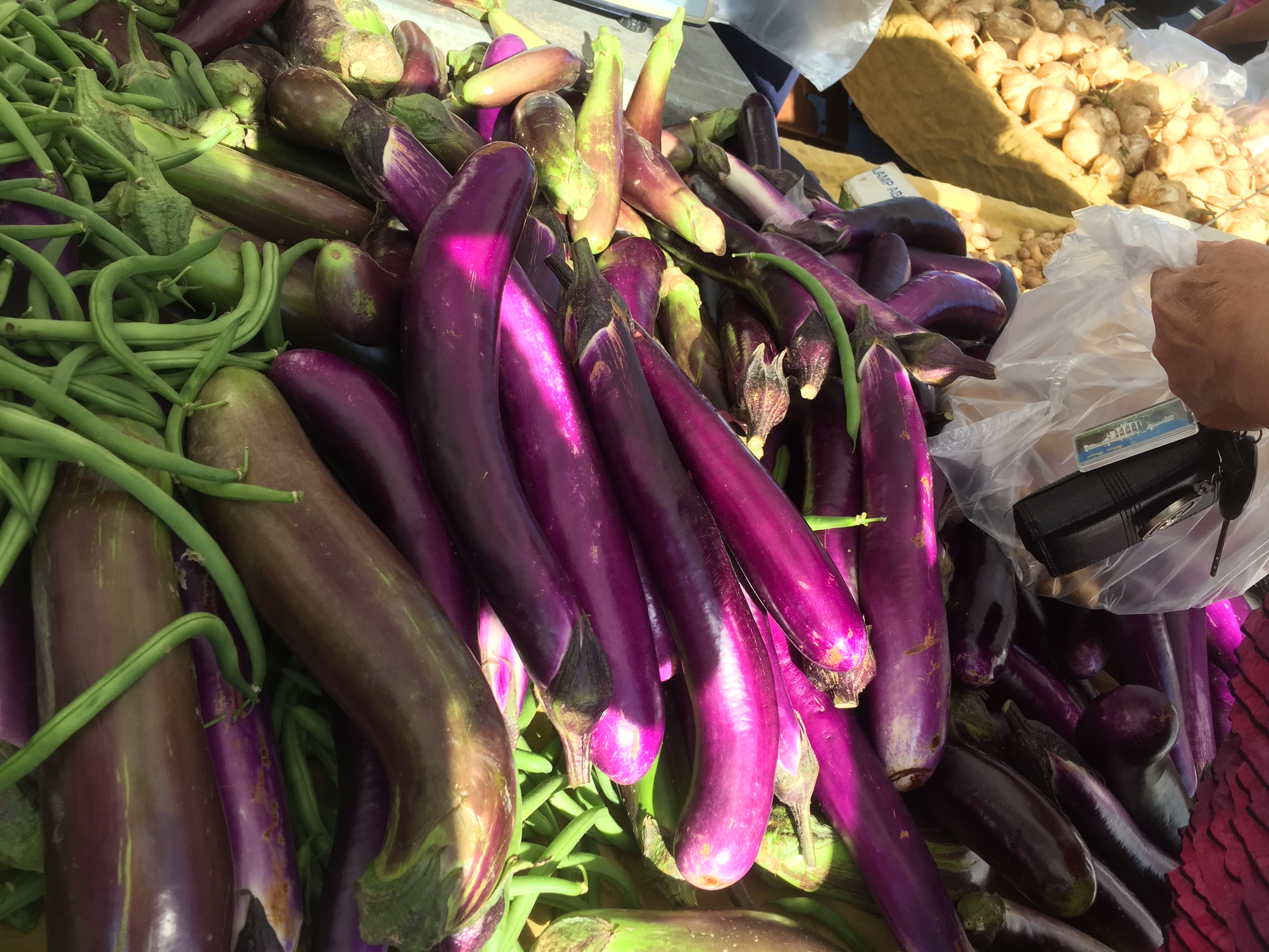 Timaree’s in the kitchen with California Bountiful TV – Japanese Eggplant – A game-changer!