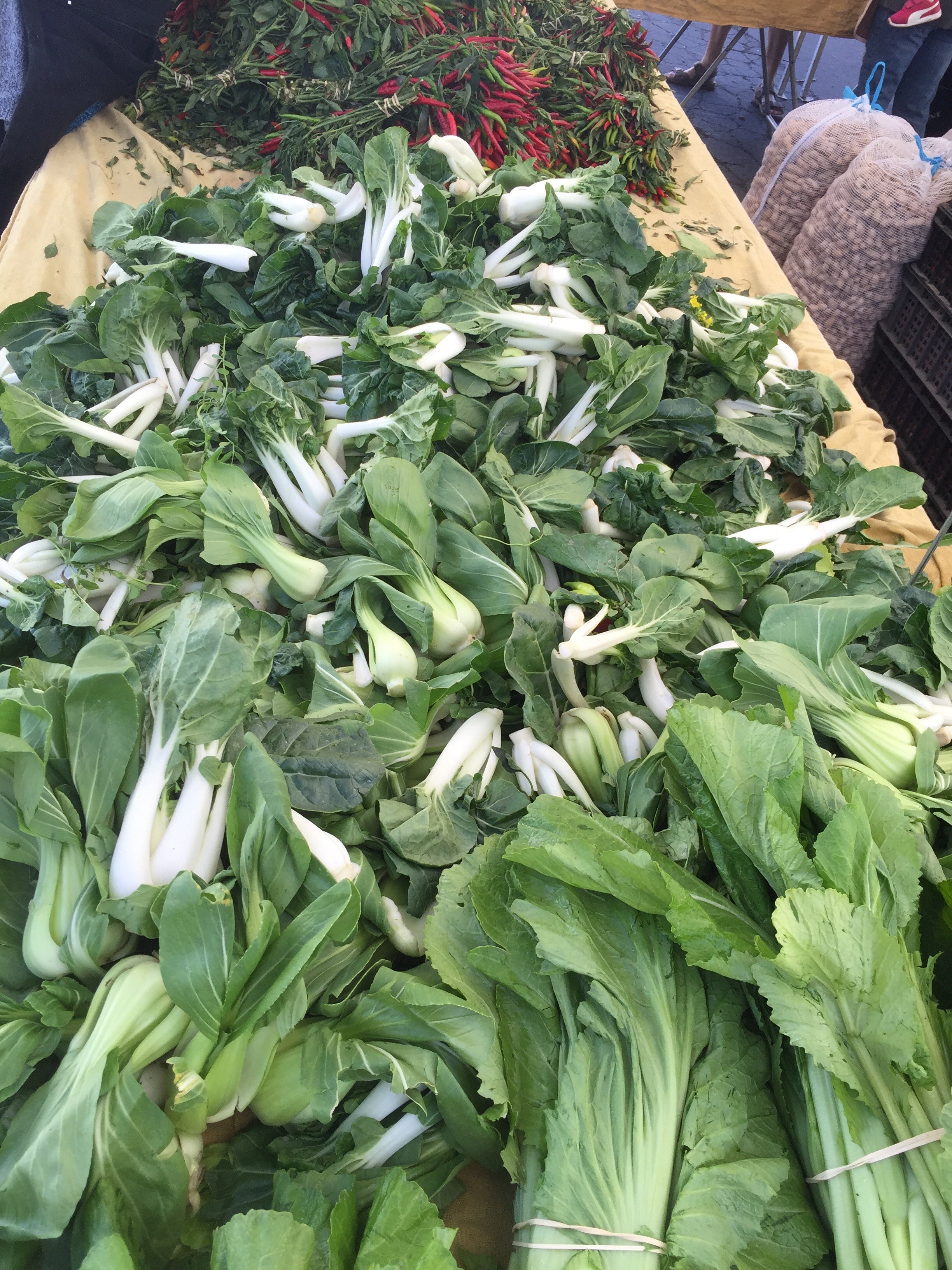 Follow Timaree from the Farmers’ Market into her kitchen – Bok Choy is on the menu!